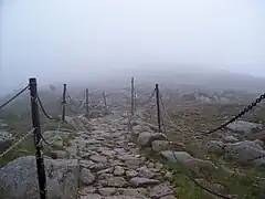 Secțiune a Traseului Prieteniei Ceho-Polone, 2008