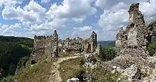 Šášovský hrad