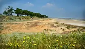 Poză-ansamblu a parcului.