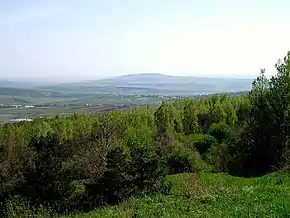 Dealul Redi (350 m.), amplasat lângă localitate.