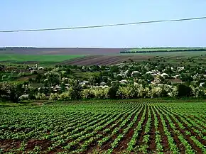 Panoramă a localității.