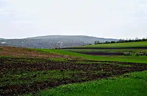 Imagine îndepărtată.