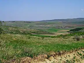 Imagine îndepărtată.