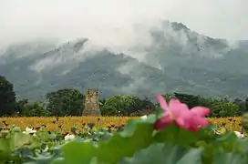 O priveliște ploioasă