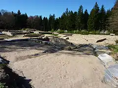 Săpături ale unei vile eduice în 2011.