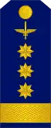 Colonel