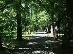 Alee în parcul palatului