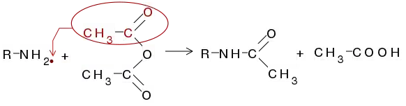 Acilarea cu anhidrida acetică