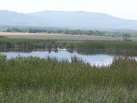 Alepu așa cum se vede din drum