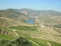 Dealuri cultivate în valea râului Douro din Portugalia de Nord.