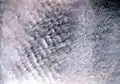 Altocumulus stratiformis translucidus undulatus