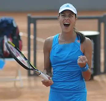 Ana Ivanovic, 2014
