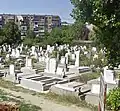 Cimitirul din cartierul Micălaca