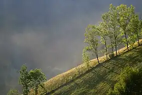 Împrejurimile comunei Arieșeni