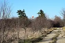 O imagine de pe terenul fostei Ferme Regale Băneasa, în partea situată la vest de DN1