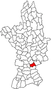 Amplasarea în cadrul județului