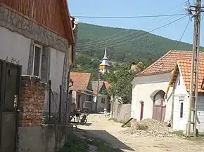 Satul Băcăinți, Alba