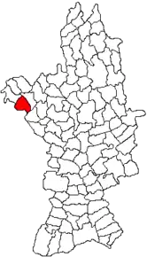 Amplasarea în cadrul județului