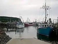 Flux în golful Fundy