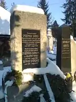 Mormântul în Cimitirul Reformat din Târgu Mureș