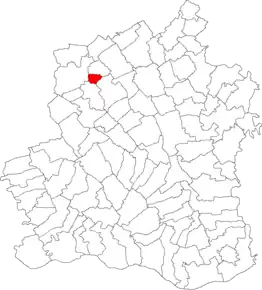 Amplasarea în cadrul județului