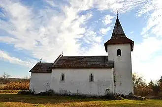 Biserica voievodală Adormirea Maicii Domnului din Hălmagiu