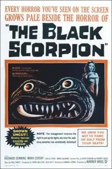 un afiș al filmului