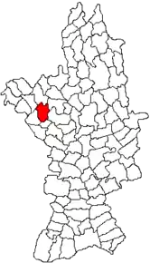 Amplasarea în cadrul județului