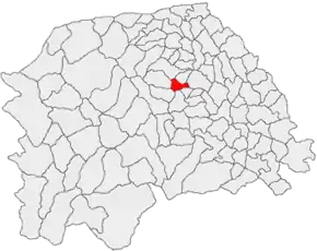 Amplasarea în cadrul județului