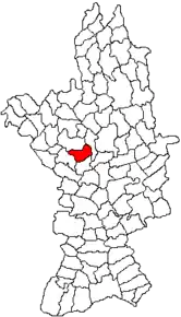 Amplasarea în cadrul județului