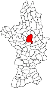 Amplasarea în cadrul județului