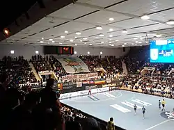 „Brigada Noastră” încurajând echipa în Sala Polivalentă din București, pe 15 mai 2010, în timpul finalei Ligii Campionilor împotriva Viborg HK.