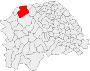 Amplasarea în cadrul județului