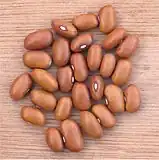 'Bruna olandeză' e o un soi vechi olandez, pitic, folosit în principal pentru boabe uscate