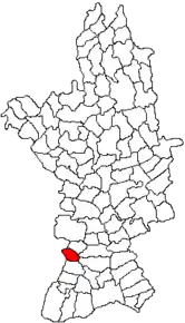 Amplasarea în cadrul județului