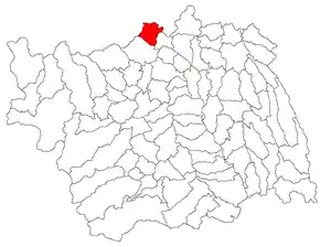 Poziția localității Buhuși