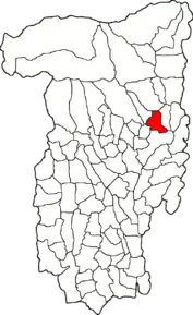 Amplasarea în cadrul județului