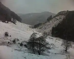 Vedere de pe versanții din Bulz