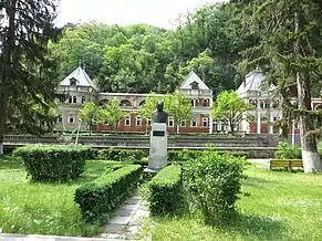 Bustul generalului Nicolae Vicol (monument istoric)