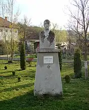 Bustul lui George Coșbuc din satul Cojocna