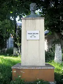 Bustul scriitorului Traian Chelariu, amplasat în curtea bibliotecii