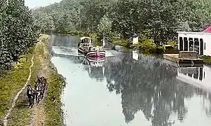 Catâri tractând două ambarcațiuni pe Chesapeake and Ohio Canal.