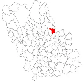 Amplasarea în cadrul județului