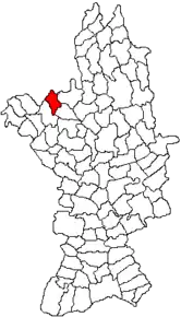 Amplasarea în cadrul județului