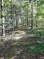 Rest de terasament, pe valea Caşinului