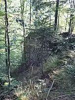 Rest de pod, pe valea Caşinului