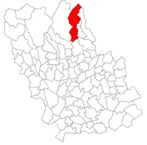 Amplasarea în cadrul județului