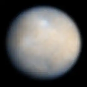 a brown fuzzy sphere with some blurry bright and dark spots