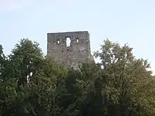 Ruinele Cetății Almașului