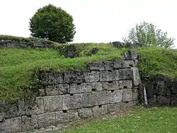 Cetatea Blidaru